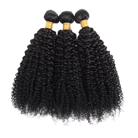 Kinky Curly Bundle 1B